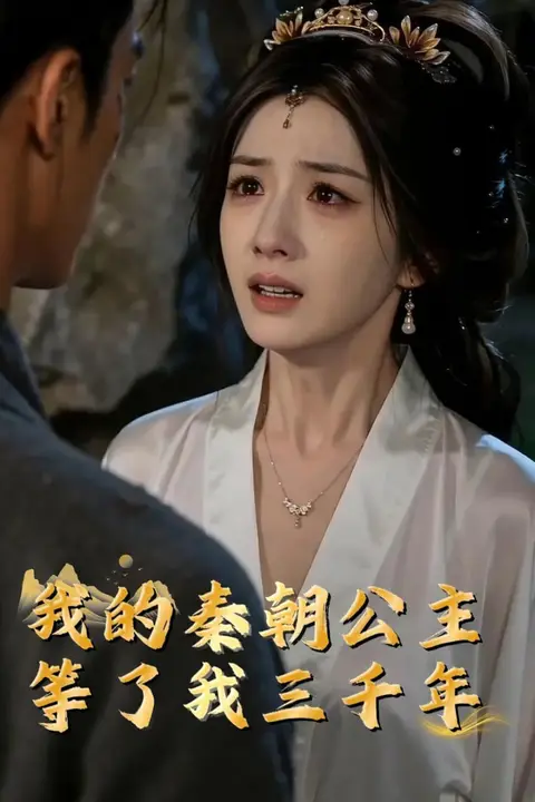 《我的秦朝公主：等了我三千年》封面