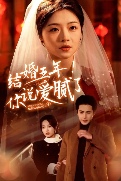 《结婚五年你说爱腻了》封面