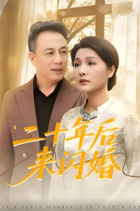 《二十年后来闪婚》封面