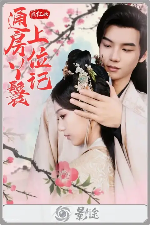 《红颜风华录》封面