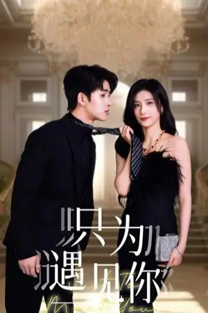 《只为遇见你》封面