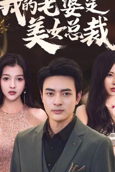 《我的老婆是美女总裁》封面