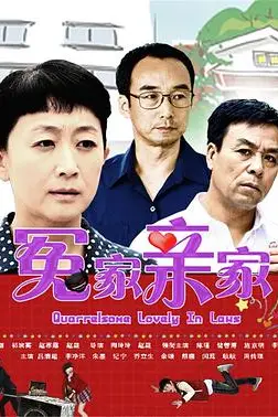 《冤家亲家》封面