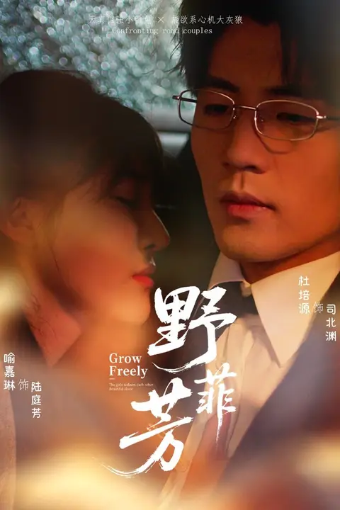 《野芳菲》封面