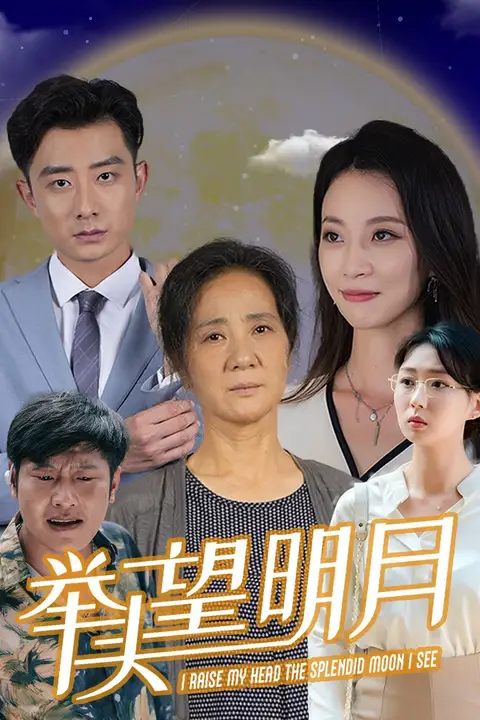 《新:举头望明月》封面