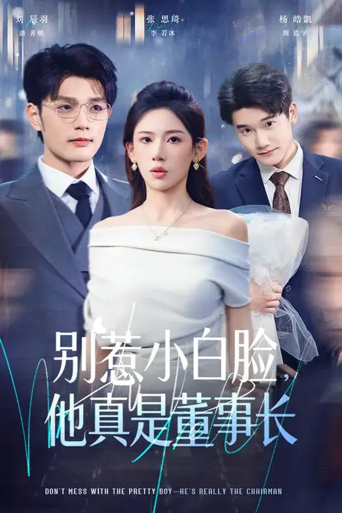 《别惹小白脸，他真是董事长》封面