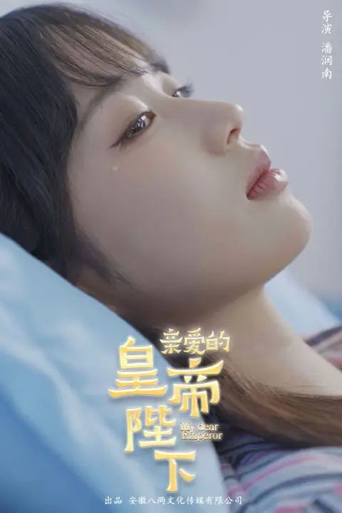 《亲爱的皇帝陛下》封面