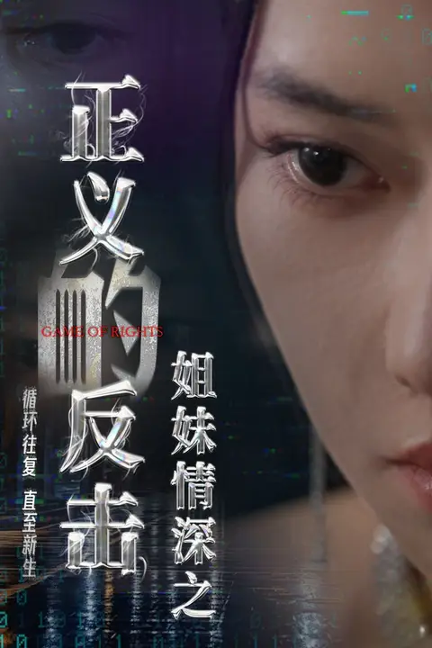 《姐妹情深之正义的反击》封面