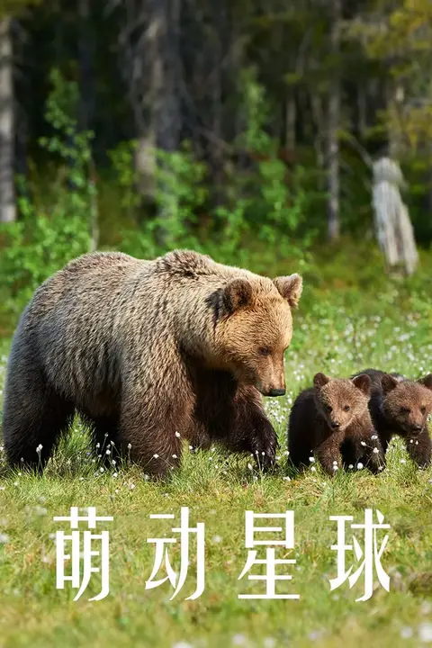 《萌动星球》封面