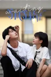 《等风等轻轻》封面