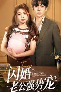 《闪婚老公强势宠》封面