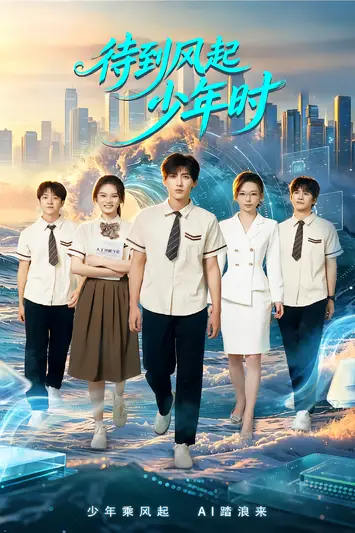 《待到风起少年时》封面