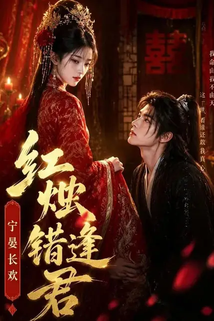 《红烛错逢君，宁宴长欢》封面