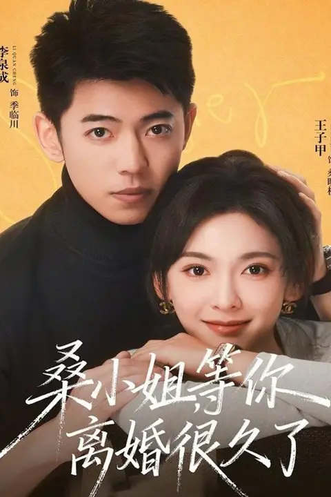 《桑小姐,等你离婚很久了》封面