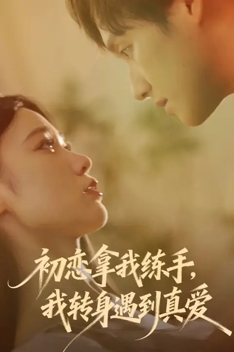 《初恋拿我练手我转身遇到真爱》封面