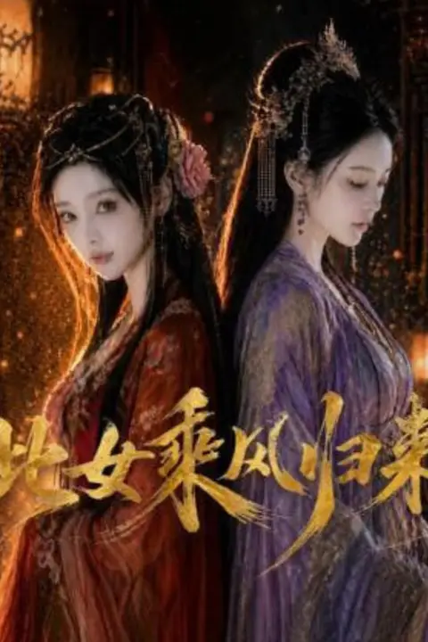 《此女乘风归来》封面