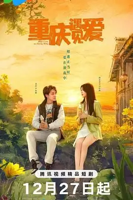 《重庆遇见爱》封面
