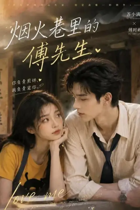 《烟火巷里的傅先生》封面
