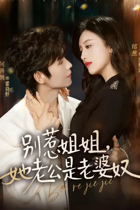 《别惹姐姐，她老公是老婆奴》封面