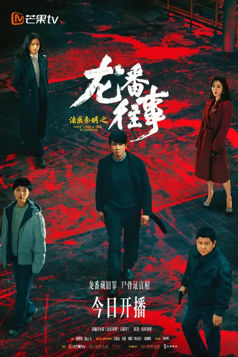 《法医秦明之龙番往事》封面