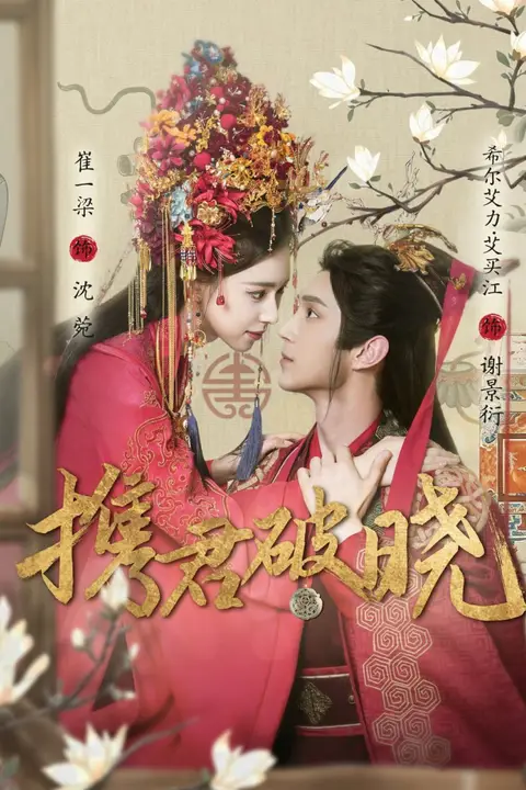 《携君破晓》封面