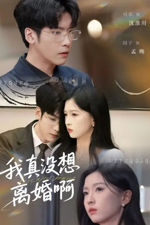 《我真没想离婚啊》封面
