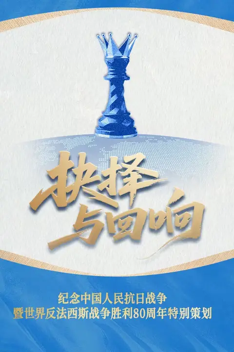 《抉择与回响》封面