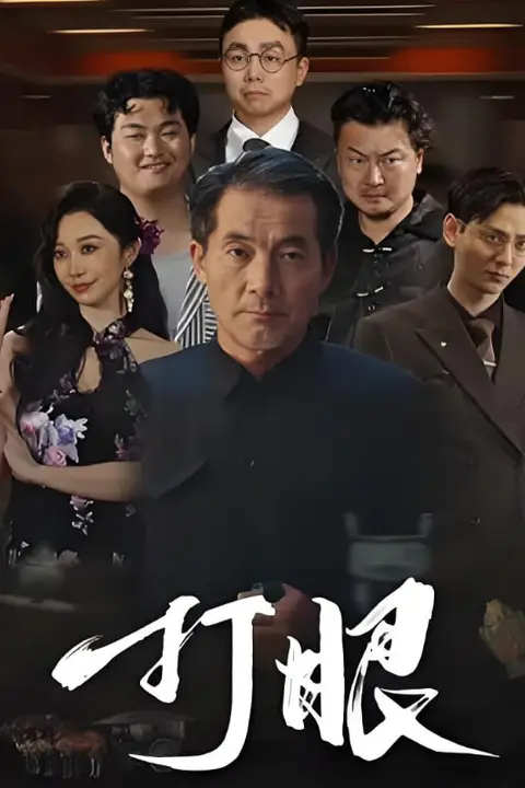 《打眼》封面