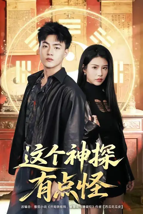 《这个神探有点怪》封面