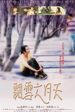 《飘雪六月天》封面