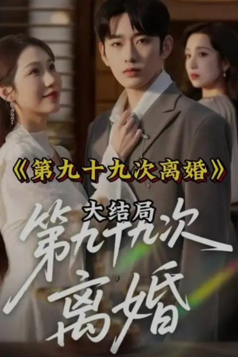 《第九十九次离婚》封面