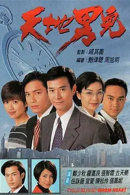 《天地男儿》封面