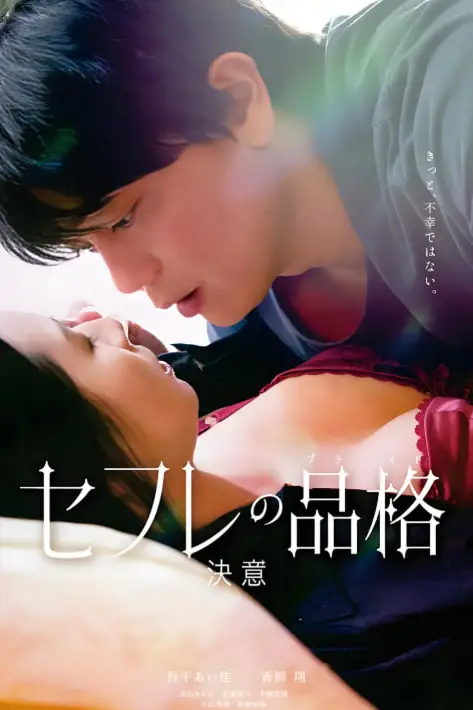 《性伴侣的品格 决心》封面