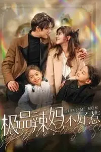 《极品辣妈不好惹》封面