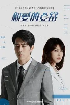 《亲爱的亚当》封面