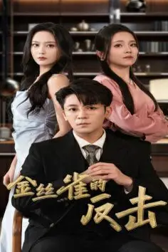 《金丝雀的反击》封面