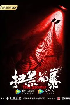 《扫黑风暴》封面