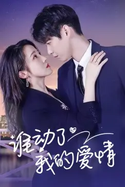《谁动了我的爱情》封面