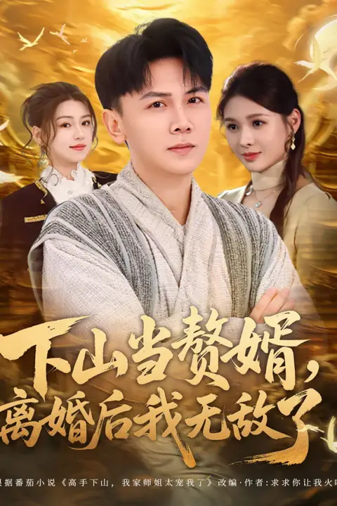 《下山当赘婿,离婚后我无敌了》封面
