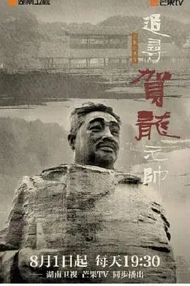 《追寻贺龙元帅》封面