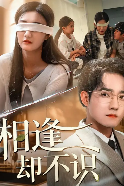 《相逢却不识》封面