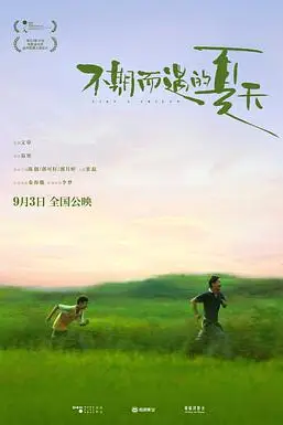 《不期而遇的夏天》封面