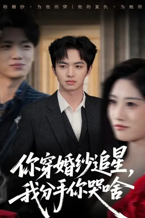《你穿婚纱追星，我分手你哭啥》封面