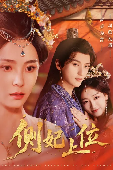 《侧妃上位》封面