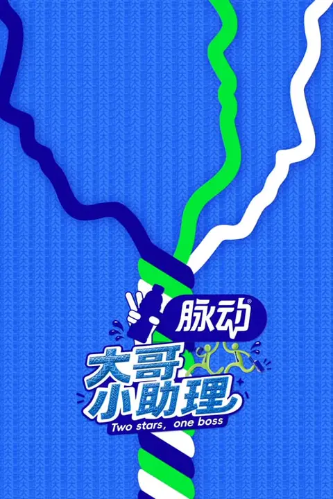 《大哥小助理》封面