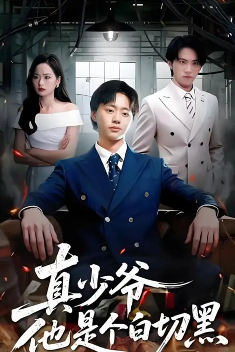 《真少爷他是个白切黑》封面