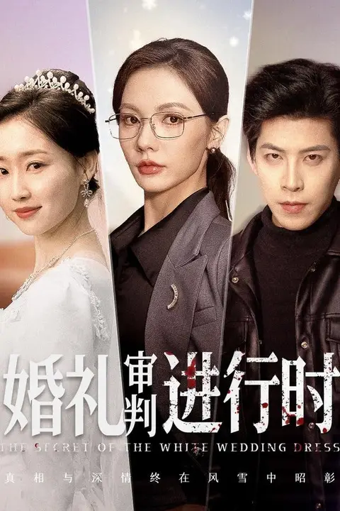 《婚礼审判进行时》封面
