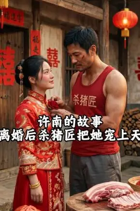 《许南的故事,离婚后杀猪匠把她宠上天》封面