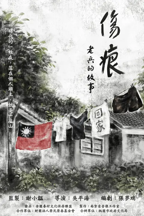 《伤痕——老兵的故事》封面