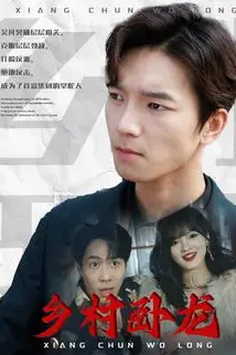 《乡村卧龙》封面